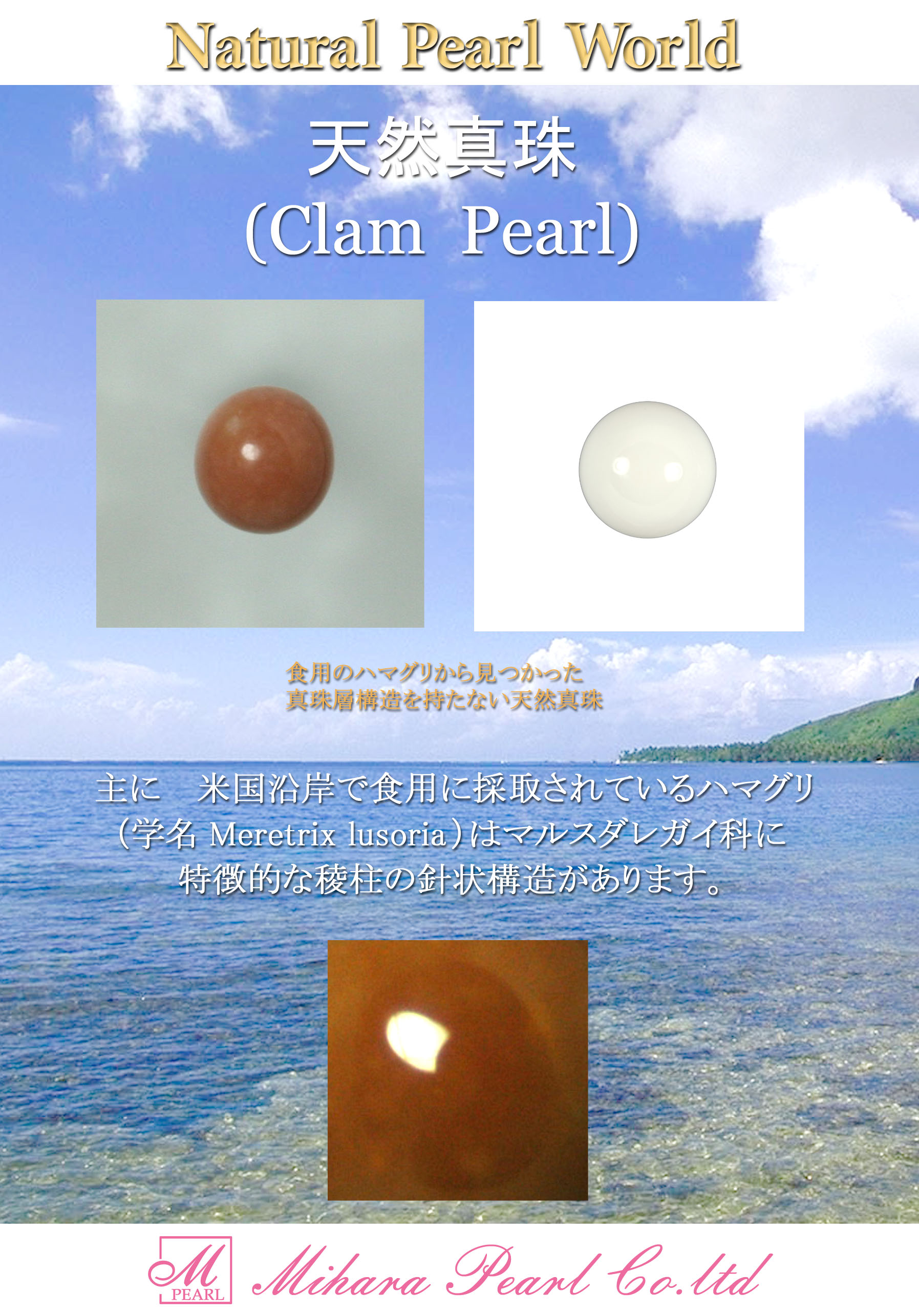 株式会社 三原真珠／natural pearl